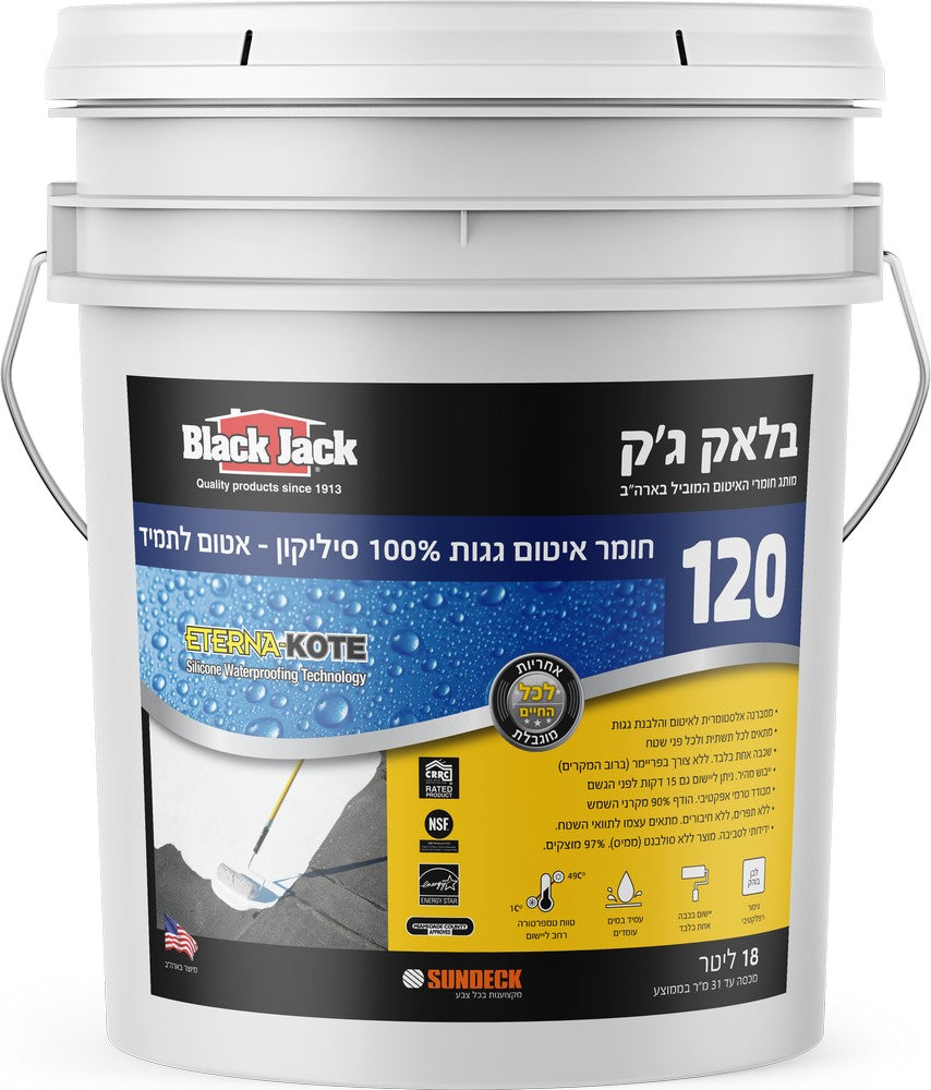 בלאק ג'ק -120 חומר איטום גגות 100% סיליקון