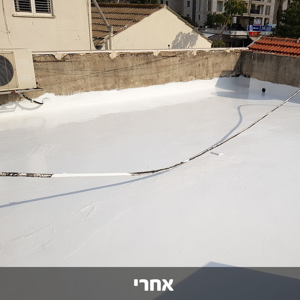 בלאק ג'ק -120 חומר איטום גגות 100% סיליקון