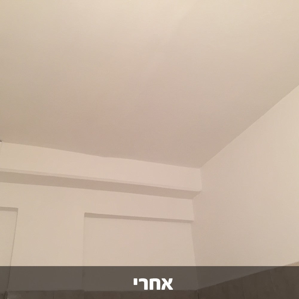 דריילוק 15 אקסטרים צבע אטימה נגד רטיבות ועובש
